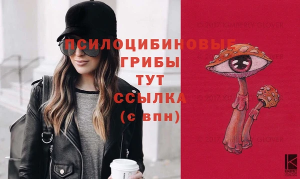 альфа пвп Беломорск