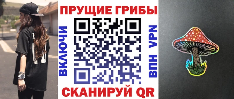 Галлюциногенные грибы MAGIC MUSHROOMS  kraken как войти  Дятьково  купить наркотики сайты 